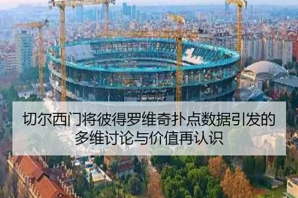 切尔西门将彼得罗维奇扑点数据引发的多维讨论与价值再认识