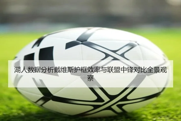 湖人数据分析戴维斯护框效率与联盟中锋对比全景观察